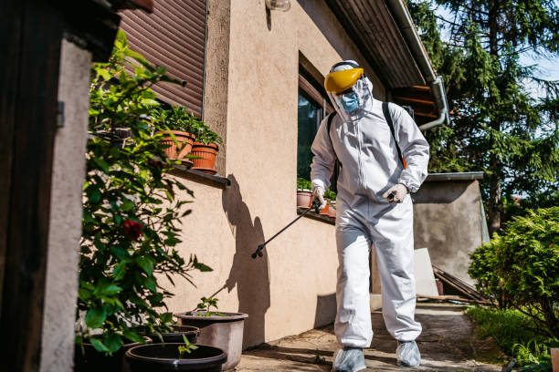 Best Best Pest Control Companies  in Lake Barcroft, VA