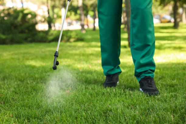 Wasp Removal Services in Lake Barcroft, VA