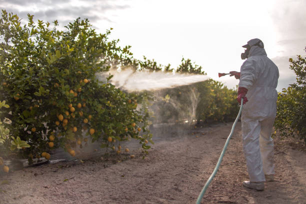 Best Pest Prevention Services  in Lake Barcroft, VA