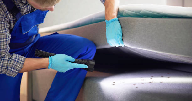 Best Rat Extermination Near Me  in Lake Barcroft, VA