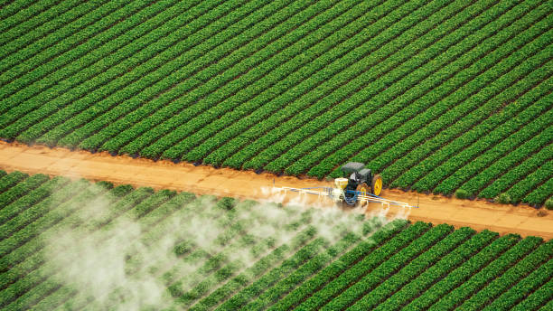 Professional Pest Control in Lake Barcroft, VA