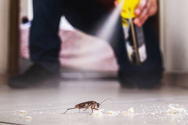 Best Wildlife Control Services  in Lake Barcroft, VA