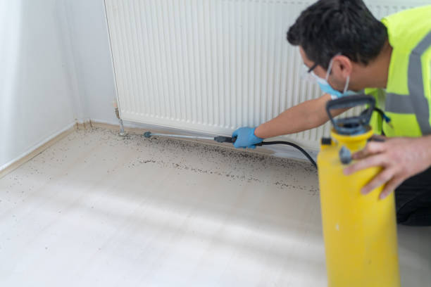 Best Flea Control Services  in Lake Barcroft, VA